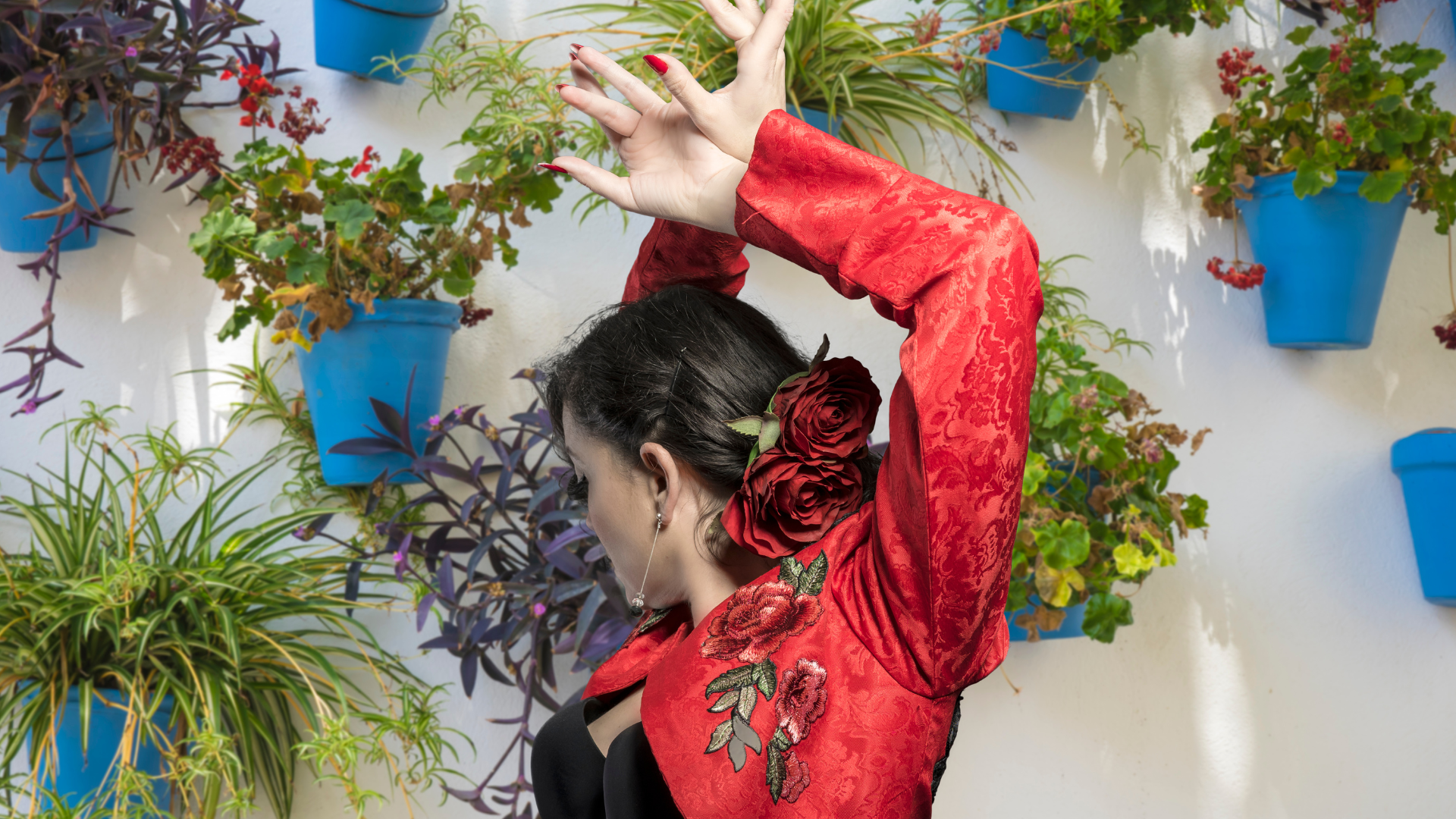 Flamenco Costa del Sol